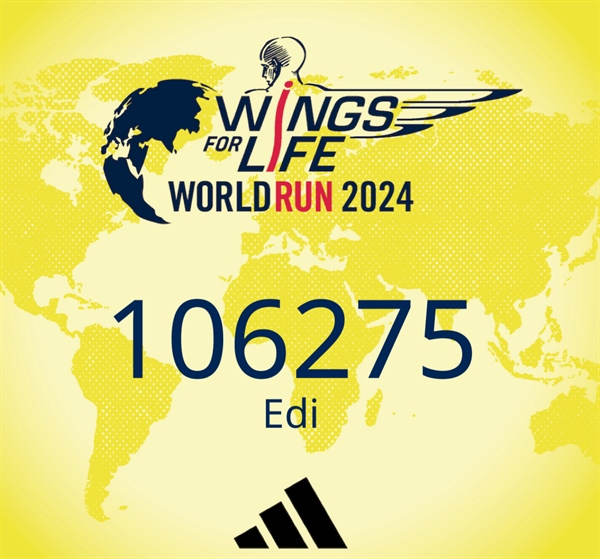 Wings for Life World Run